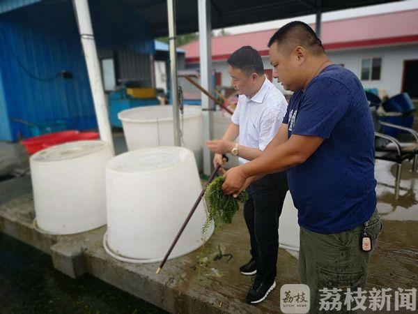 漁村小農(nóng)民的成長之路，從田野到未來的勵志之旅