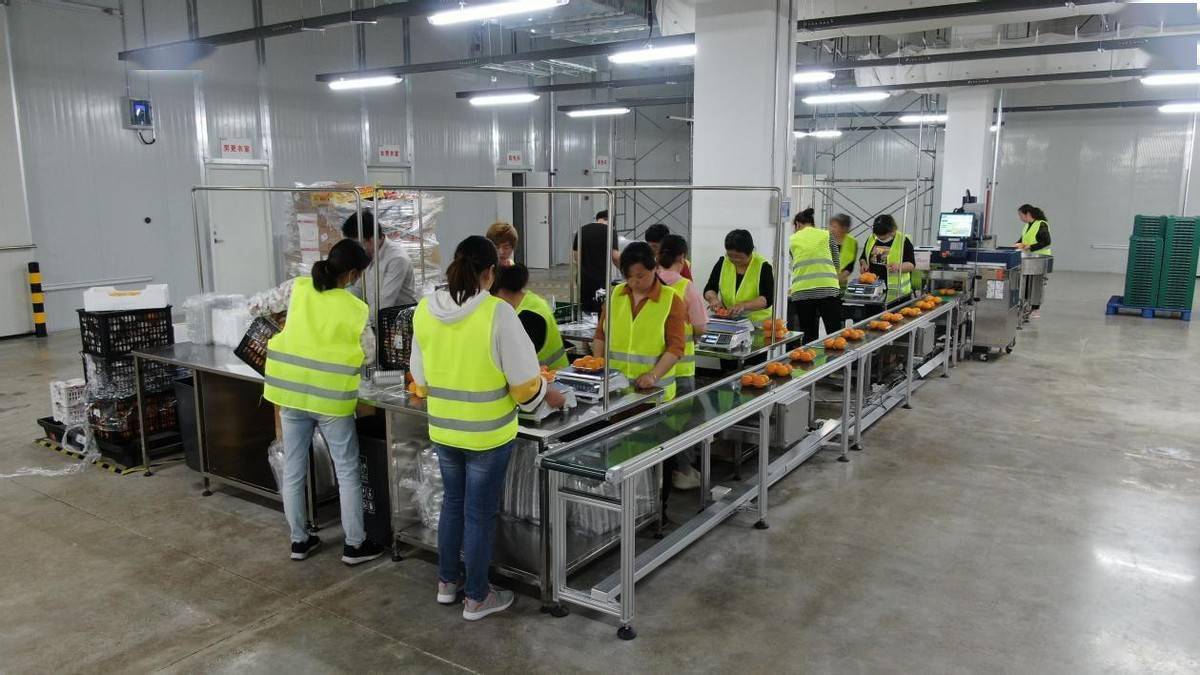 最新加工項(xiàng)目發(fā)布及觀點(diǎn)論述詳解